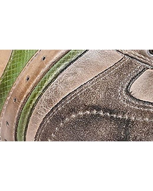 Roan Brown Alatar Sneaker for men