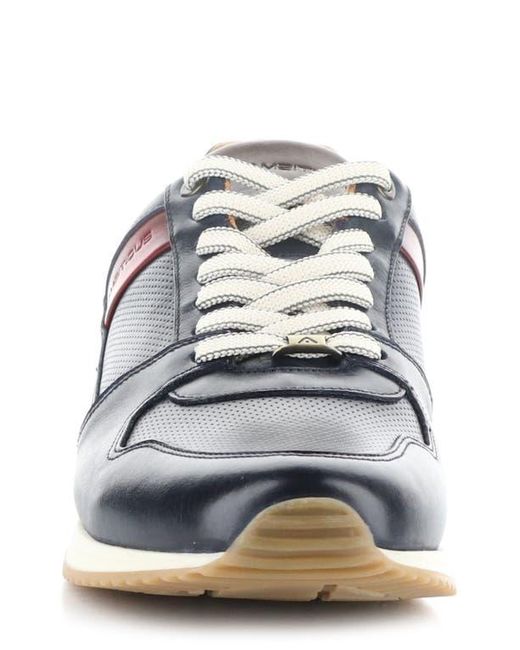 Ambitious Blue 11240 Perforated Sneaker for men