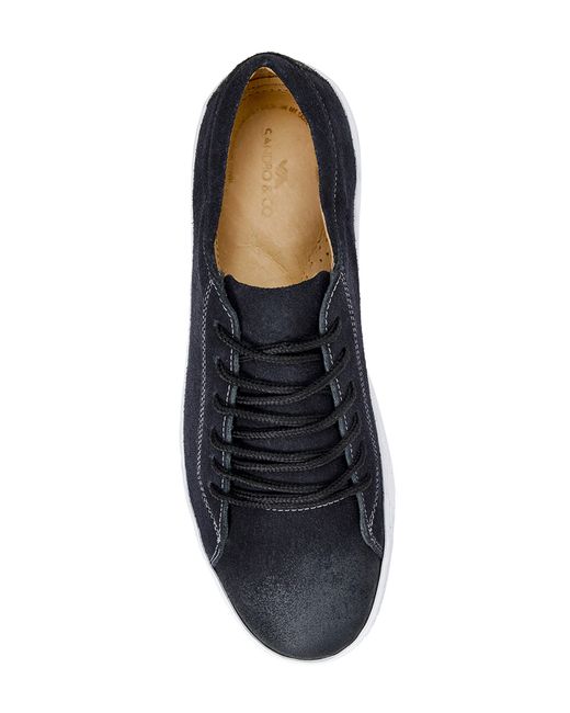 Sandro Moscoloni 7-eyelet Blucher Suede Sneaker in Black for Men | Lyst