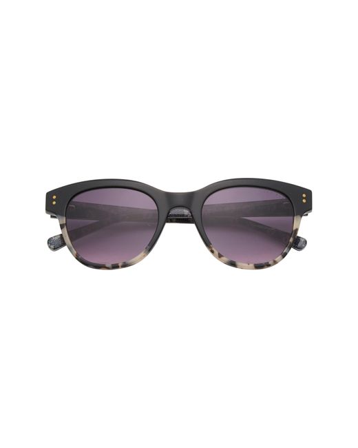 Ted Baker Black 52mm Cat Eye Sunglasses