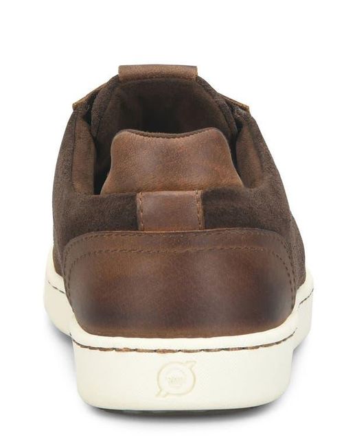Børn Brown Adams Sneaker for men