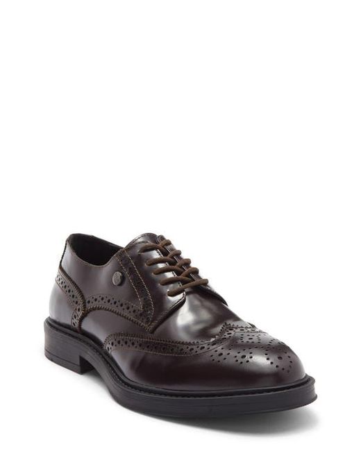 Roberto Cavalli Brown Crip Wingtip Derby for men