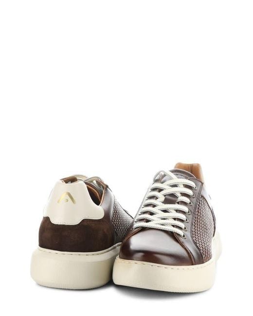 Ambitious Brown 13450 Woven Low Top Sneaker for men