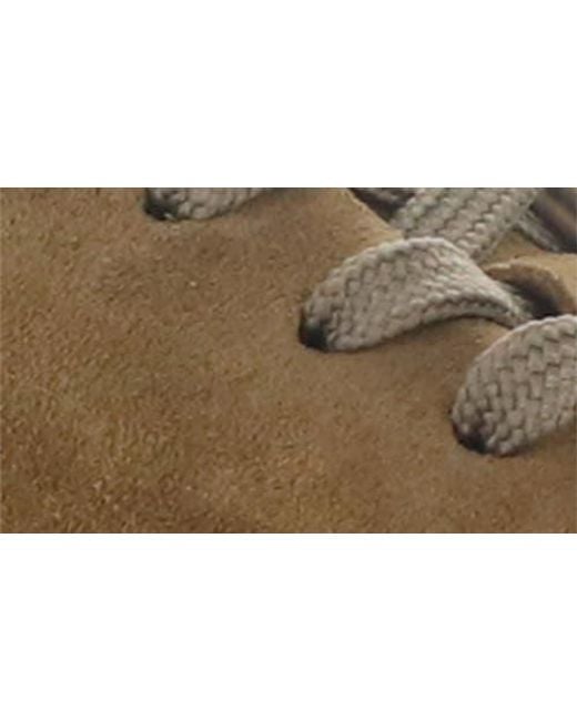 Ambitious Brown 13797 Low Top Sneaker for men