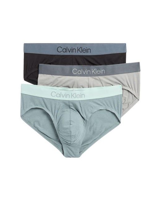 Calvin Klein Blue Assorted 3-Pack Modal Briefs for men