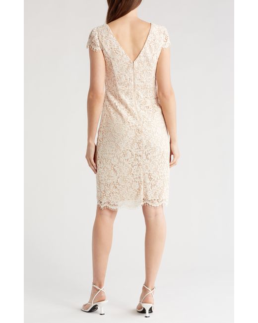 Vince Camuto Natural Lace Cap Sleeve Dress
