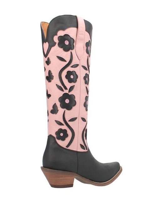 Dingo Multicolor Goodness Gracious Western Boot