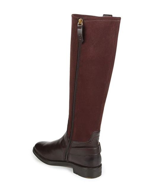 Franco Sarto Brown Merina Knee High Boot
