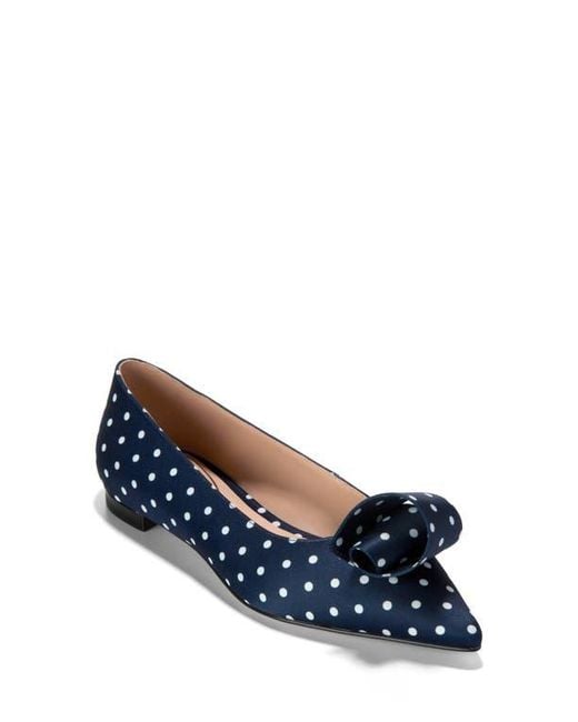 Cole Haan Blue Florette Pointed Toe Skimmer Flat