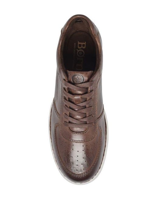 Børn Brown Captain Sneaker for men