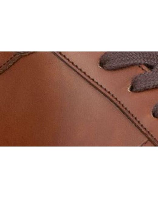Allen Edmonds Brown Owen Sneaker for men