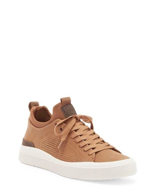 Steve Madden Brown Pyper Sneaker for men