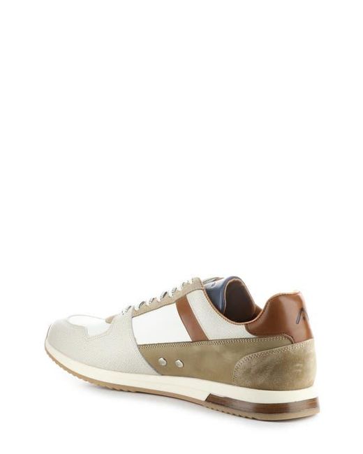 Ambitious White 11240 Perforated Sneaker for men