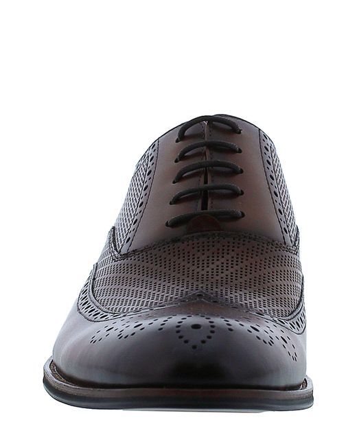 Zanzara Delphi Wingtip Leather Oxford In Cognac At Nordstrom Rack for Men |  Lyst