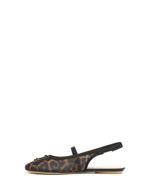 Franco Sarto Black Chara Slingback Flat