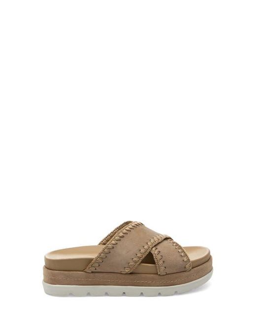 J/Slides Brown Boo Platform Slide Sandal