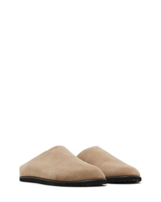 Steve Madden Multicolor Luis Slipper for men
