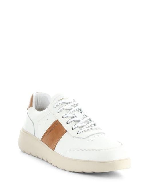 Ambitious White 12863 Low Top Sneaker for men