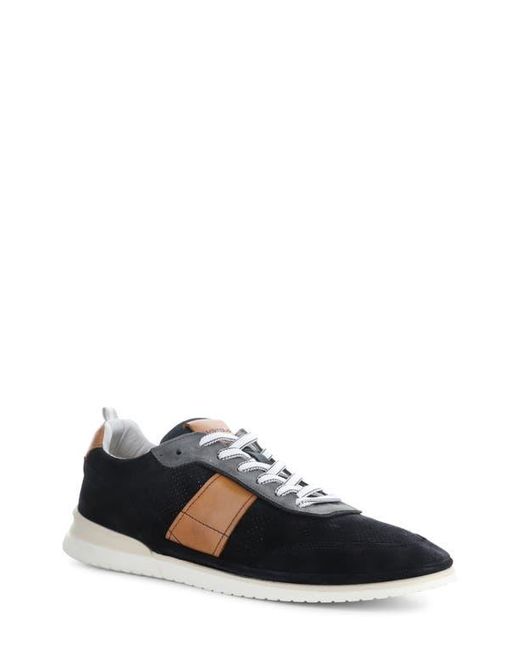 Ambitious Black 12827 Perforated Sneaker for men