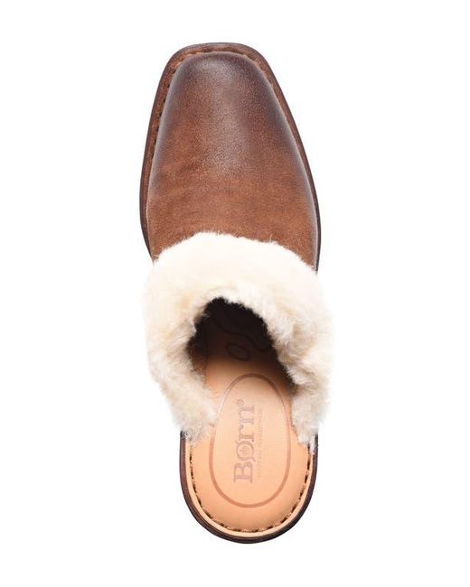 Børn Brown Hope Genuine Shearling Trim Clog