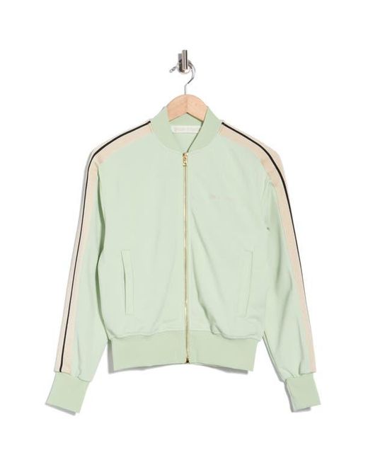 Palm Angels Multicolor Track Jacket