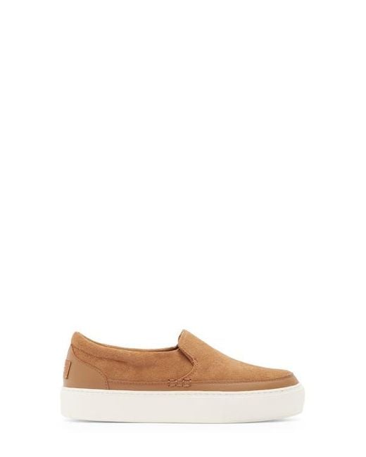UGG Women's Natural Zilo Slip-On Sneaker