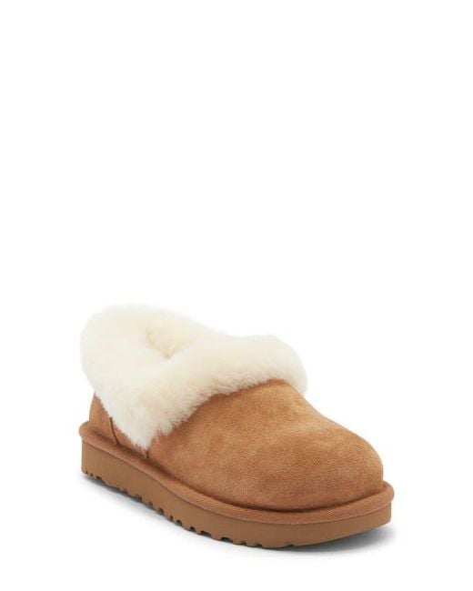 Ugg Brown Nita Uggplush Slipper