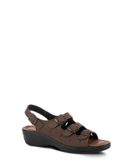 Flexus by Spring Step Brown Willa Multistrap Slingback Sandal