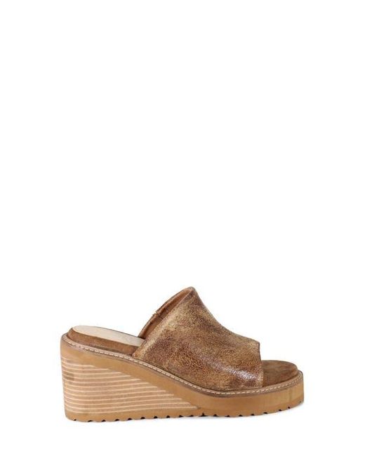 Diba True Brown Cloud Fall Wedge Sandal