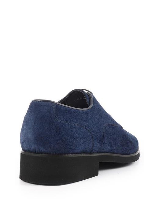 VELLAPAIS Blue Moxy Derby for men