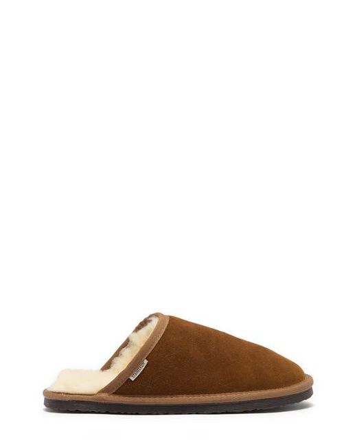 Staheekum Brown Alpine Faux Shearling Slipper for men