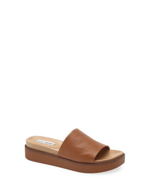 Steve Madden Brown Robyn Platform Slide Sandal