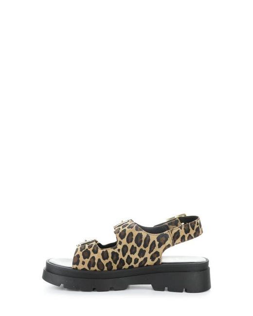 Bos. & Co. Black Cipher Slingback Platform Sandal