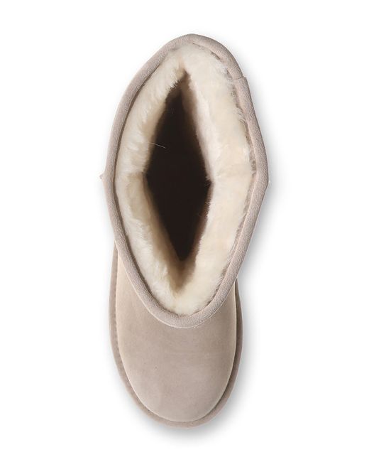 Bearpaw women's elle shop tall water resistant boot
