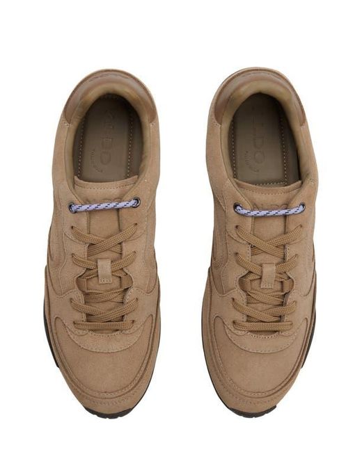 ALDO Brown Emry Sneaker for men