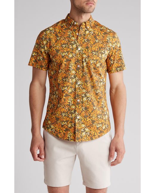 14th & Union Multicolor Palms Short Sleeve Stretch Cotton Button-up Shirt for men