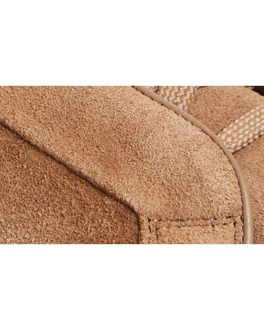 Boss Brown Gary Low Top Sneaker for men
