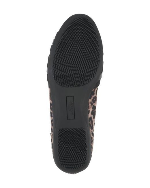 White Mountain Black Chic Flat