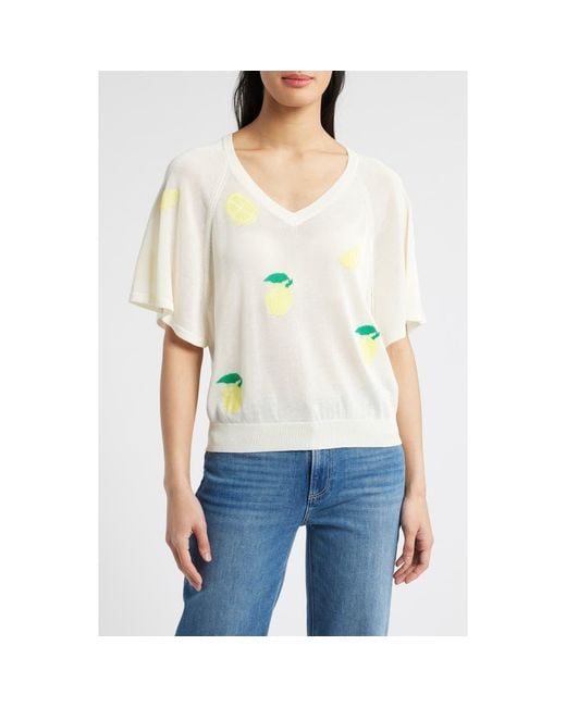 Wit & Wisdom Multicolor V-Neck Batwing Sweater