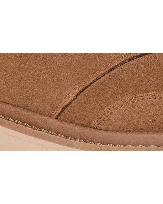 Ugg Brown Chukka Lug Boot for men