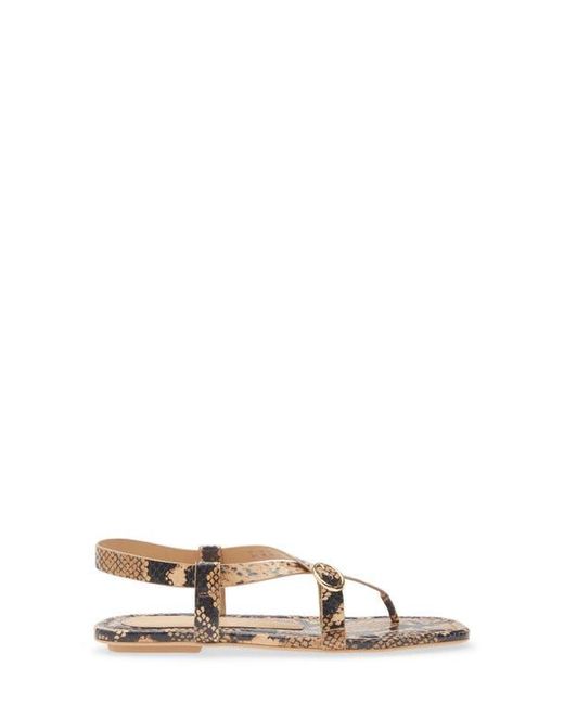 Stuart Weitzman Multicolor Benni Slingback Flat Sandal