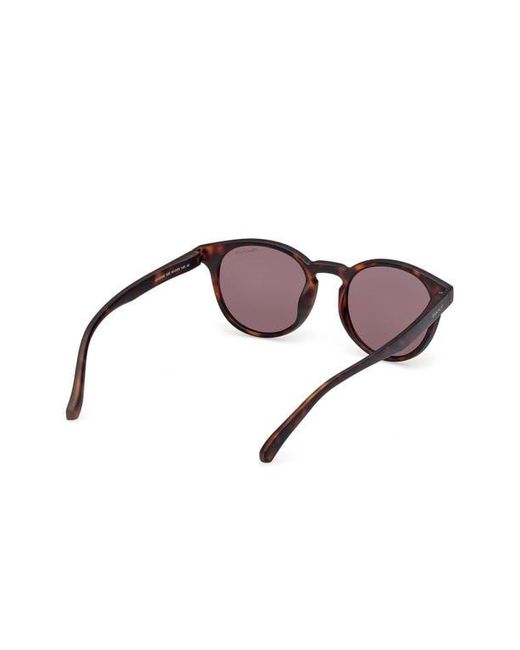 Gant Brown Oval Sunglasses for men