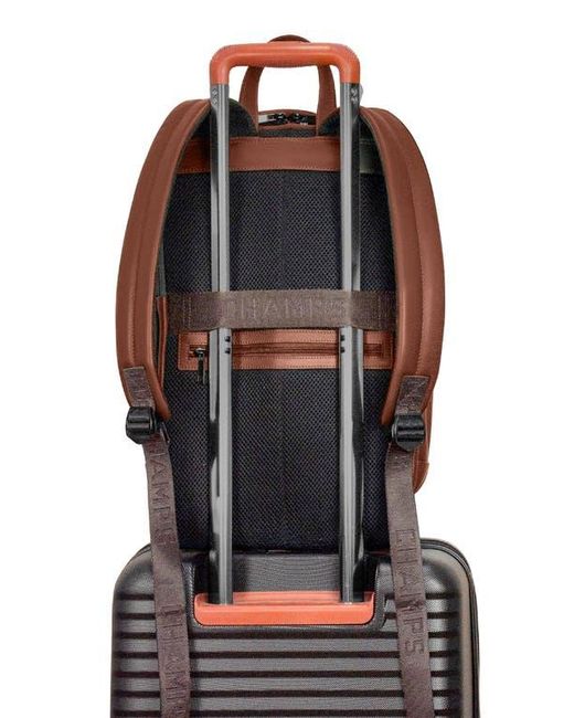 CHAMPS Brown Onyx Leather Backpack for men