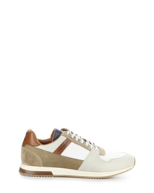 Ambitious White 11240 Perforated Sneaker for men