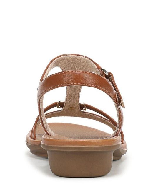 Naturalizer Brown Sofia Sandal