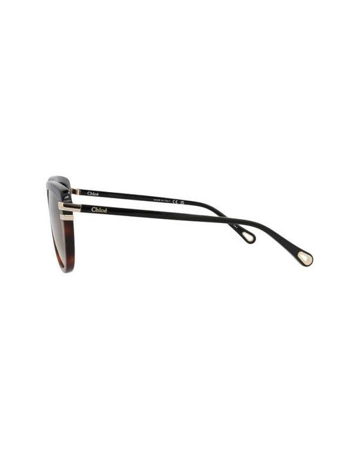 Chloé Natural 59Mm Square Sunglasses