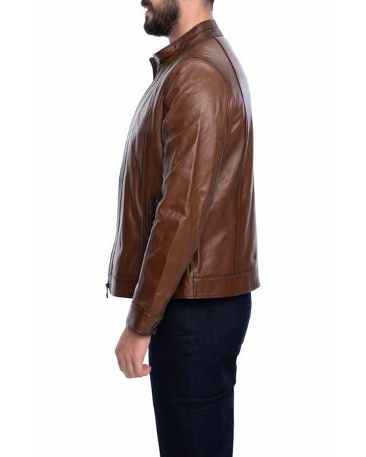 VELLAPAIS Brown Smooth Leather Jacket for men