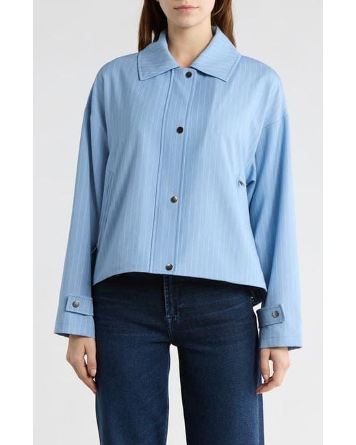 Bernardo Blue Stripe Jacket
