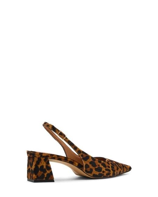Steve Madden Brown Robyn Pointed Toe Slingback Pump