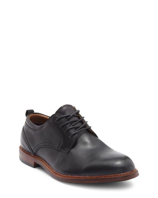 Steve Madden Brown Evan Derby for men